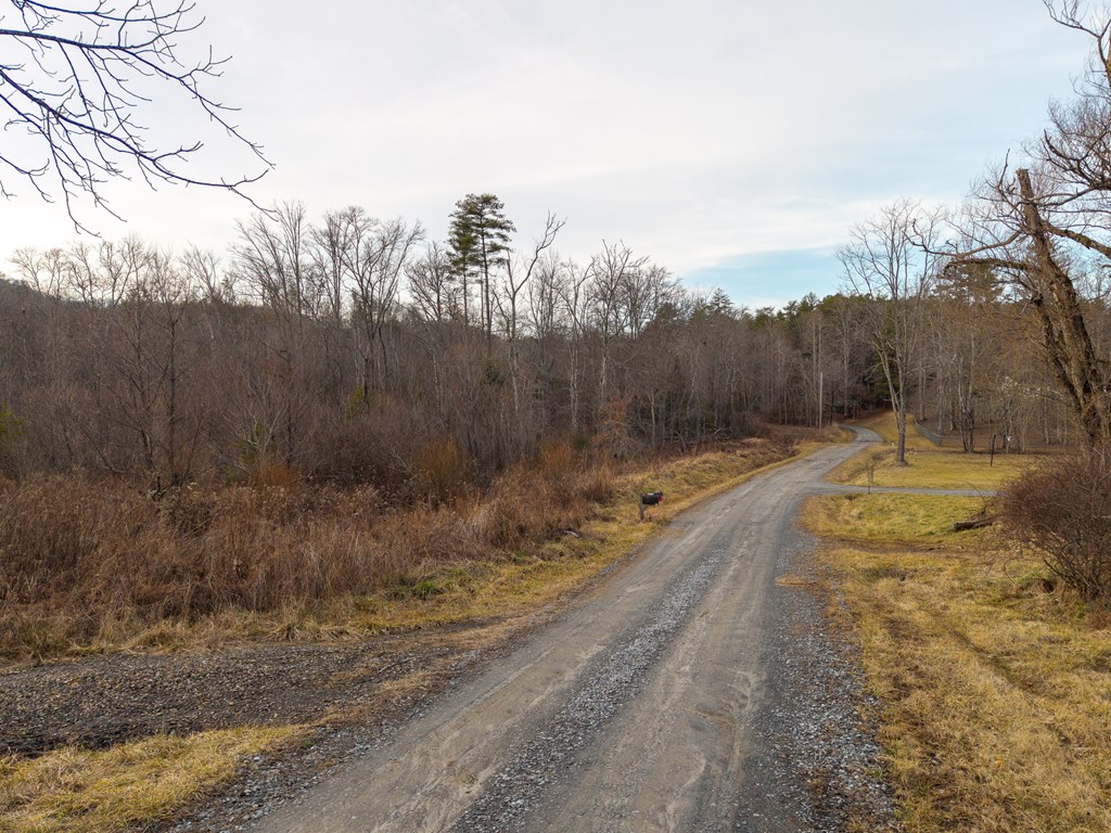 156-ac Higdon Creek Road Blue Ridge, GA 30513 - Photo 36 of 39 a view of a yard