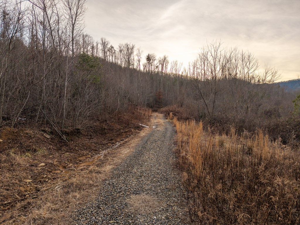 156-ac Higdon Creek Road Blue Ridge, GA 30513 - Photo 37 of 39 a view of a backyard