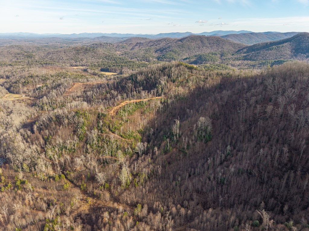156-ac Higdon Creek Road Blue Ridge, GA 30513 - Photo 7 of 39 a view of a mountain in the distance