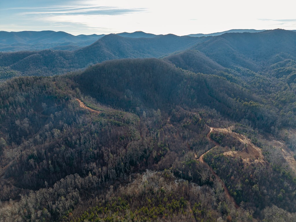 156-ac Higdon Creek Road Blue Ridge, GA 30513 - Photo 10 of 39 a view of a mountain in the distance