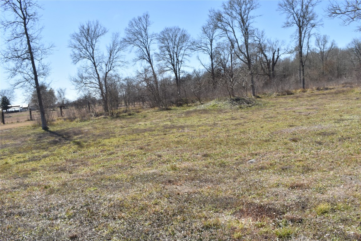 8475 Sunny Side Road Hempstead, TX 77445 - Photo 12 of 15