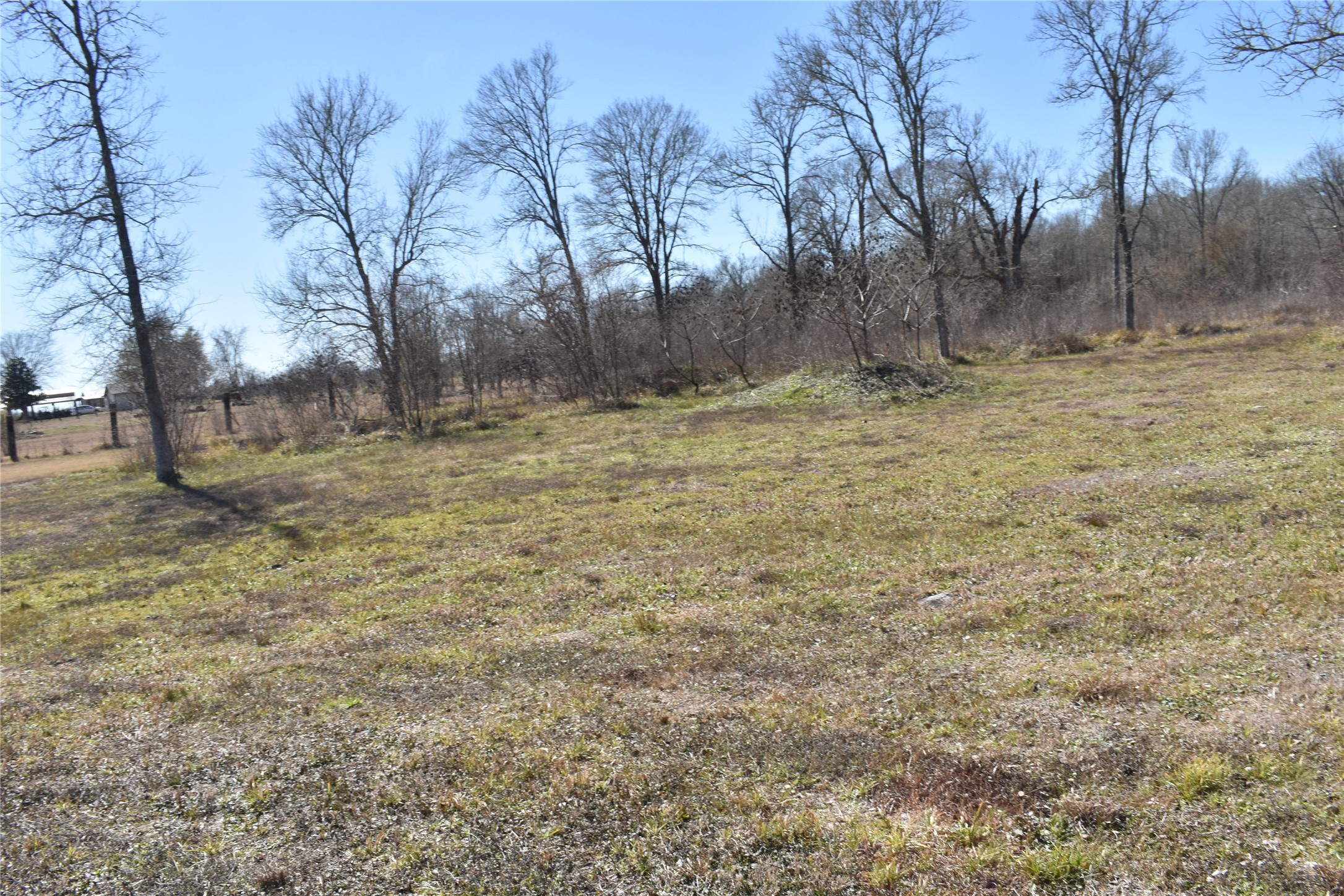 8475 Sunny Side Road Hempstead, TX 77445 - Photo 12 of 15 a view of outdoor space with trees