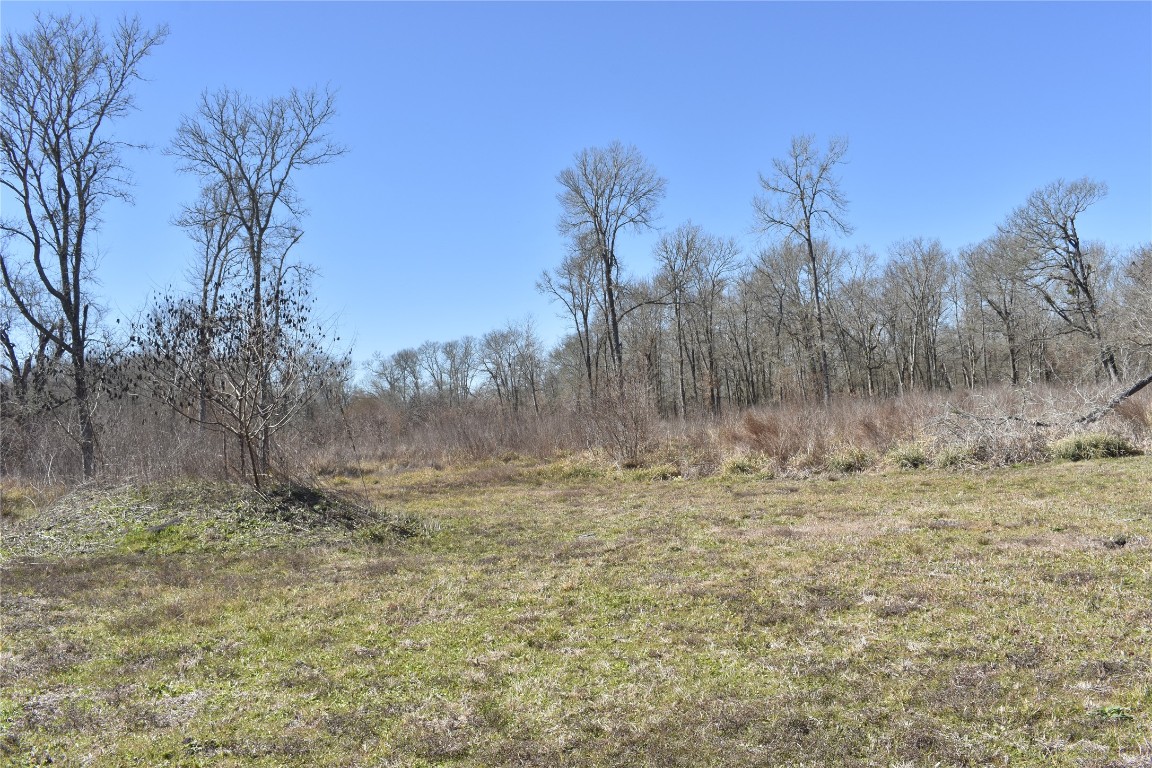 8475 Sunny Side Road Hempstead, TX 77445 - Photo 13 of 15