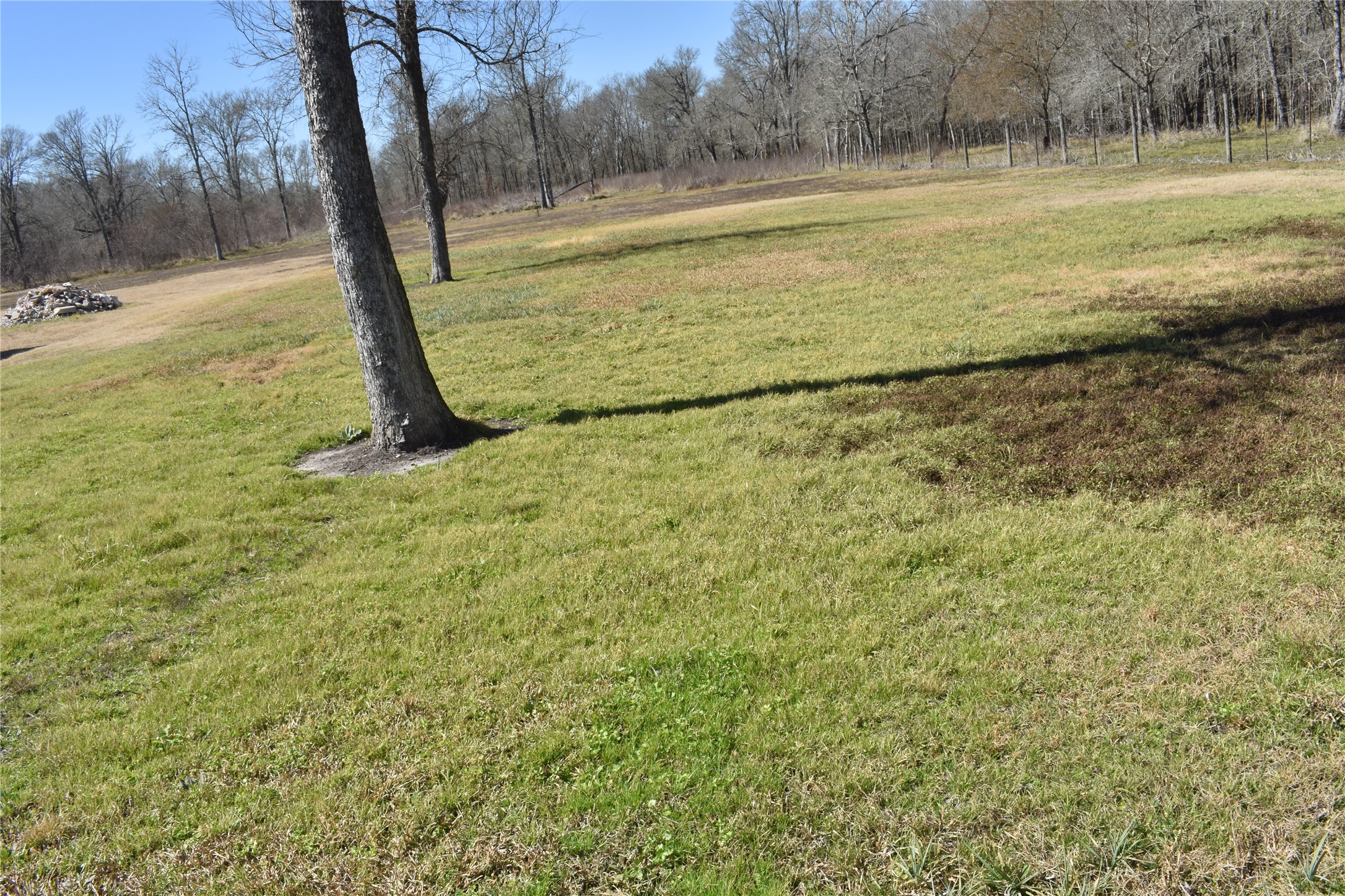 8475 Sunny Side Road Hempstead, TX 77445 - Photo 7 of 15 a view of a yard with a slide