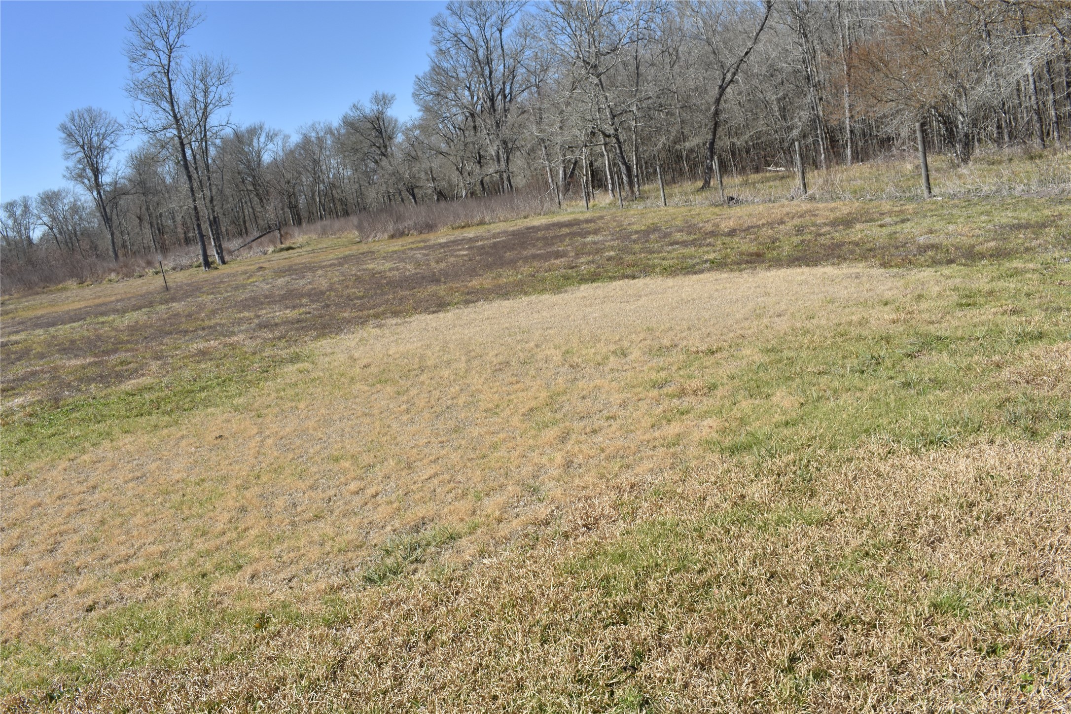 8475 Sunny Side Road Hempstead, TX 77445 - Photo 8 of 15 a view of dirt yard with trees