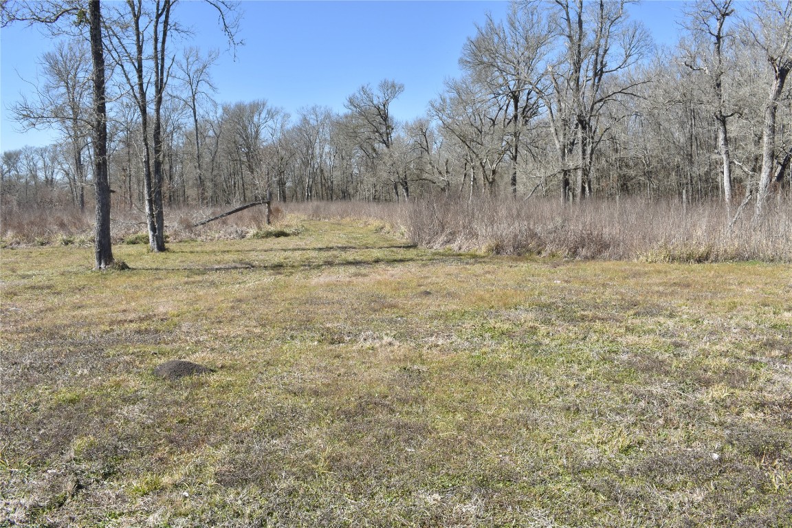 8475 Sunny Side Road Hempstead, TX 77445 - Photo 10 of 15