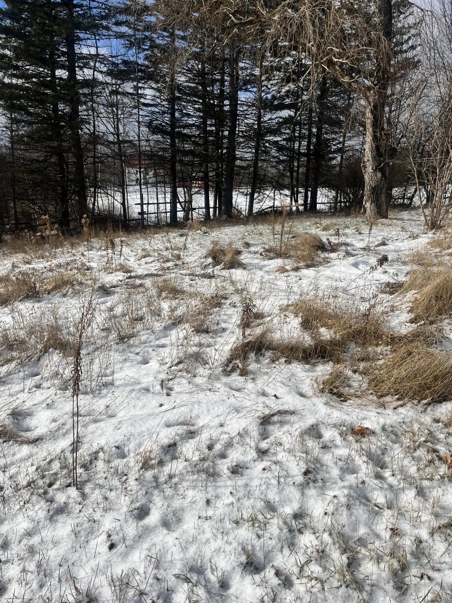 106 Woodbridge Corner Road Sherman, ME 04776 - Photo 3 of 4 IMG_8804