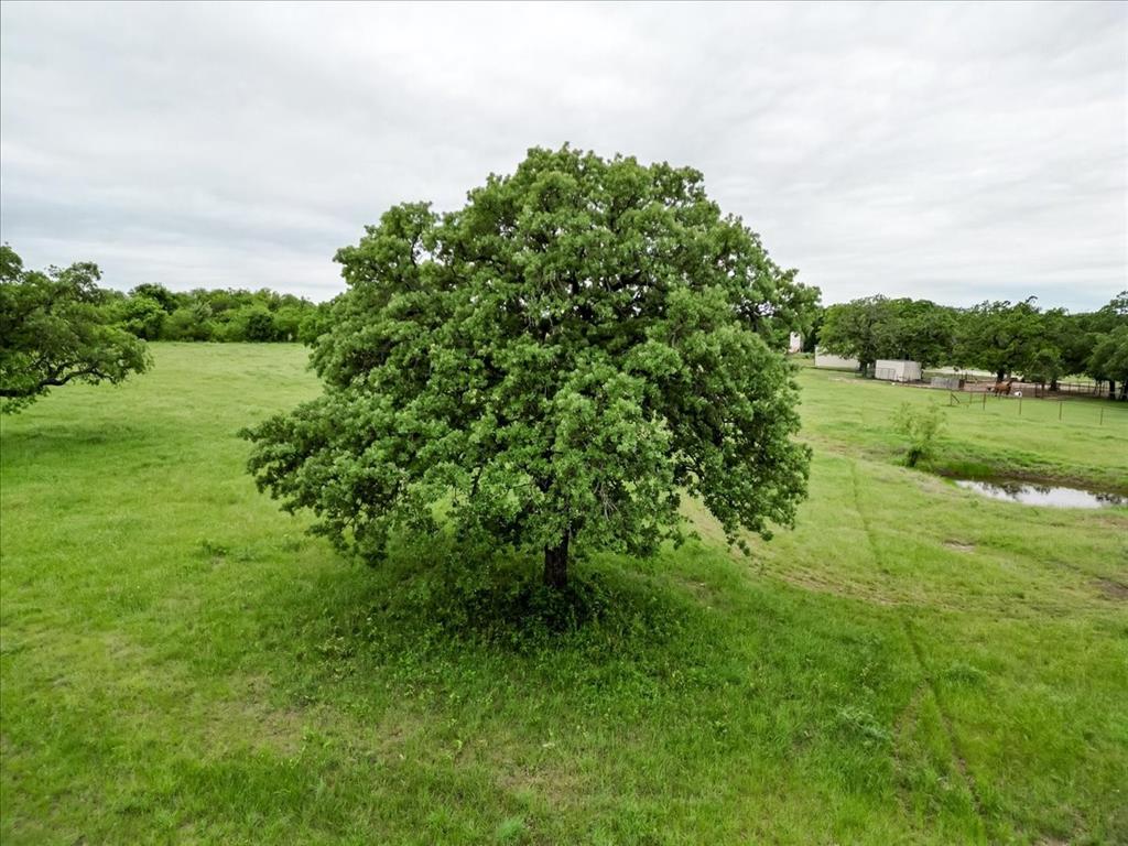 318 East Lone Star Road Poolville, TX 76487 - Photo 6 of 33 a view of a green field with lots of bushes