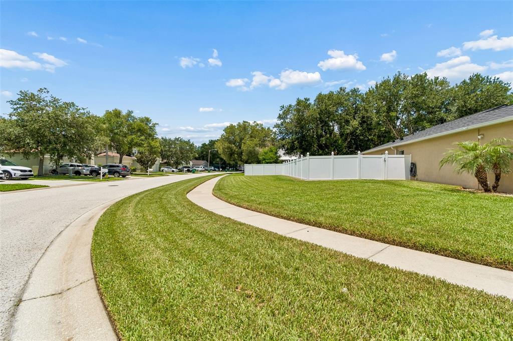 32323 Fish Hook Loop Wesley Chapel, FL 33545 - Photo 7 of 76