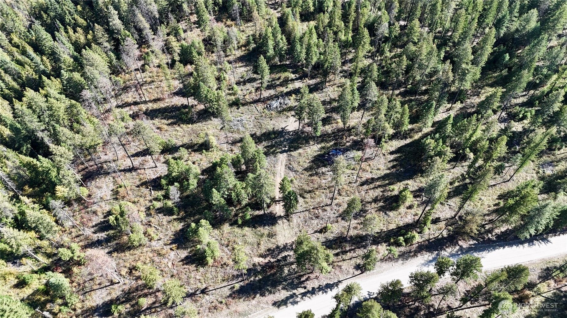 4 Deadman Creek Road Kettle Falls, WA 99141 - Photo 3 of 17 Gallery Image 3