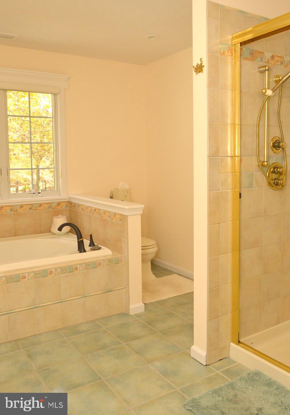 16 Ginger Road Chesterfield, NJ 08515 - Photo 14 of 27 a bathroom with a bathtub and shower