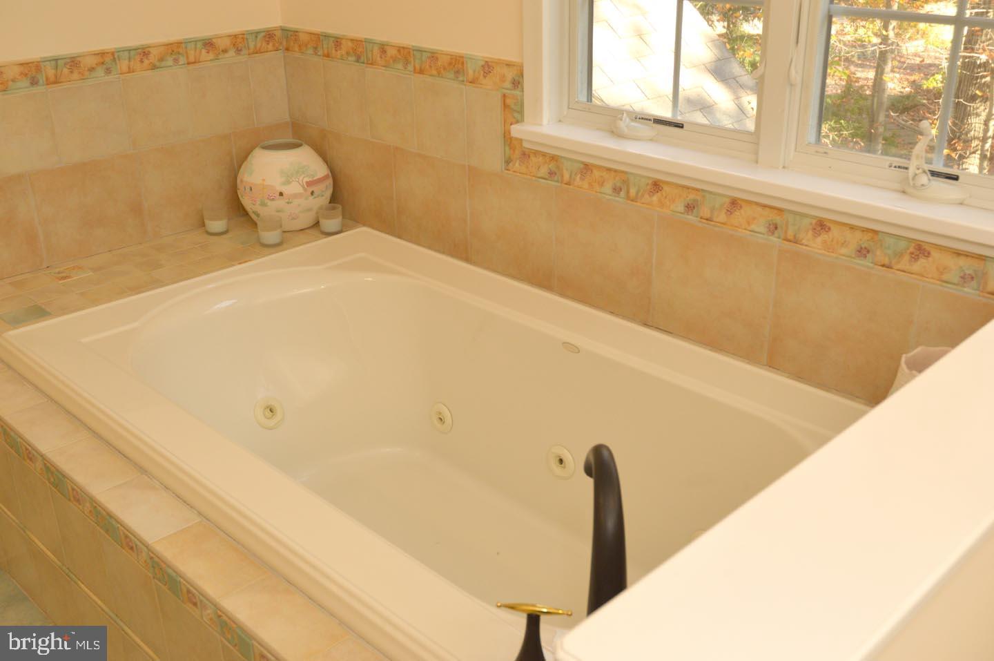 16 Ginger Road Chesterfield, NJ 08515 - Photo 16 of 27 a bathroom with a bathtub