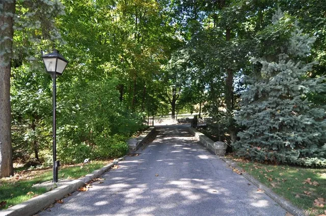 a view of a street with a tree