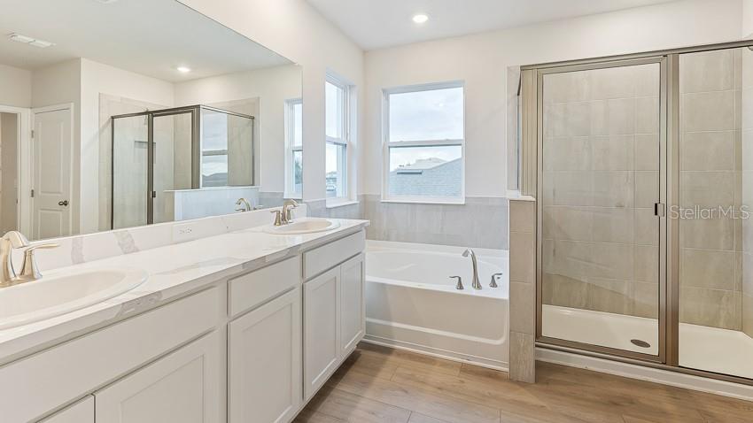 1925 Cobb Trail Parrish, FL 34219 - Photo 13 of 25 a spacious bathroom with a bathtub shower sink and mirror