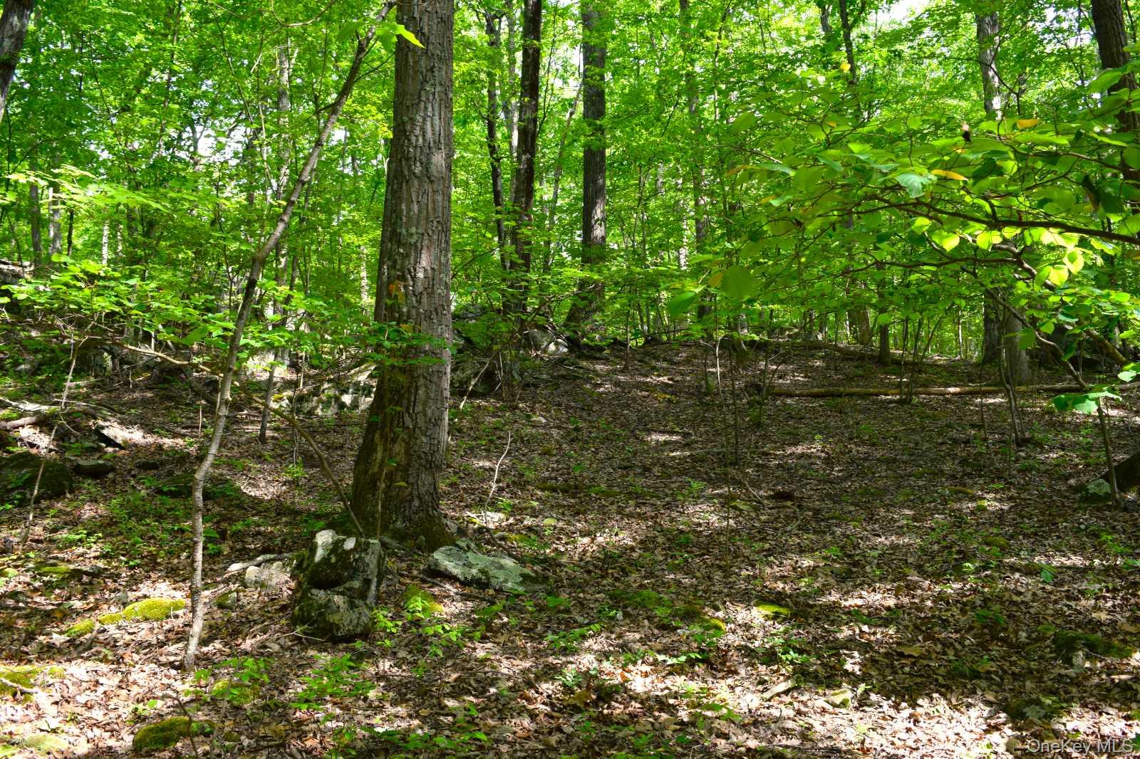 33 Old East Road Wallkill, NY 12589 - Photo 17 of 24 Gallery Image 17