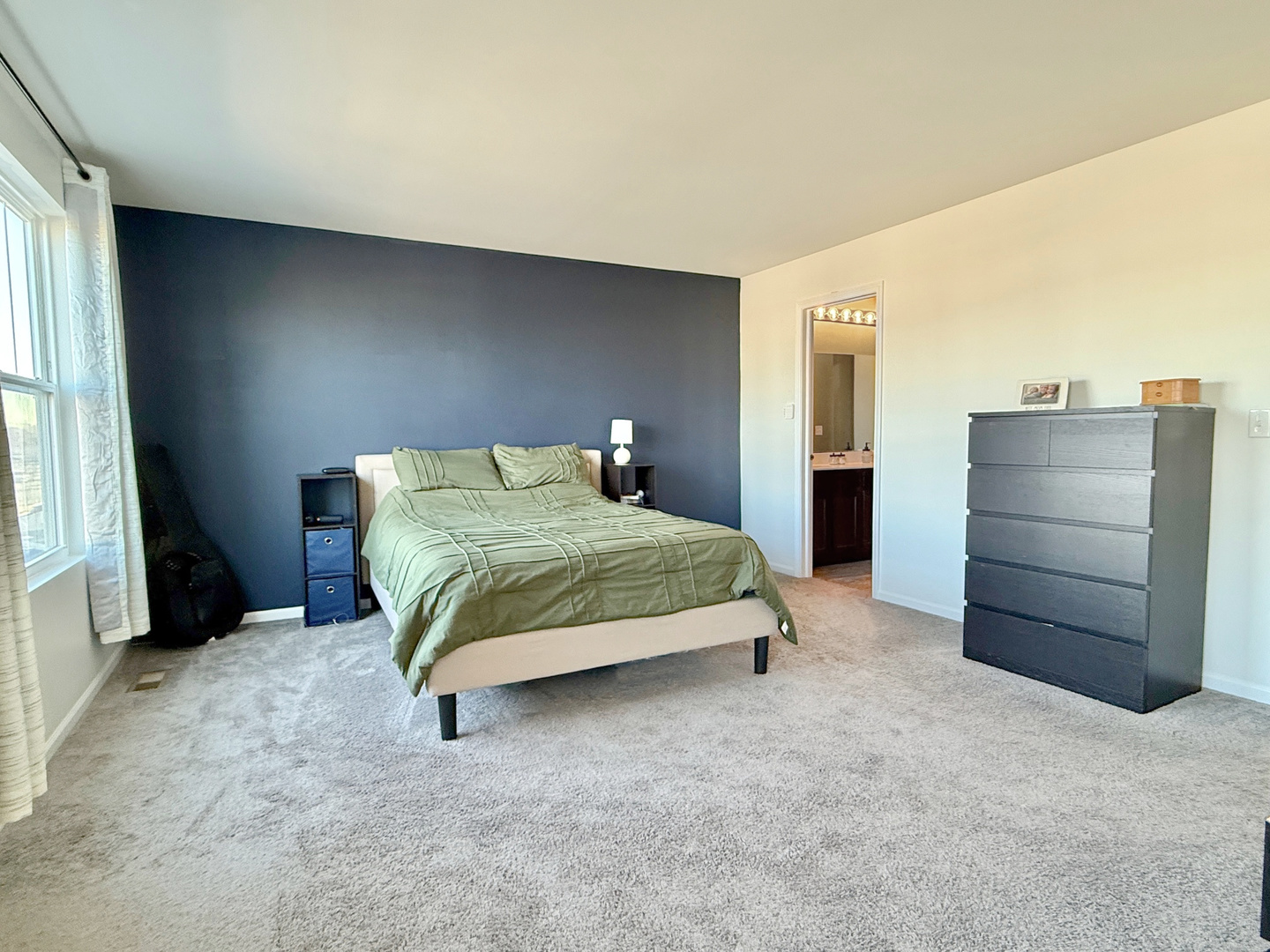 1013 Daniel Street Plano, IL 60545 - Photo 14 of 20