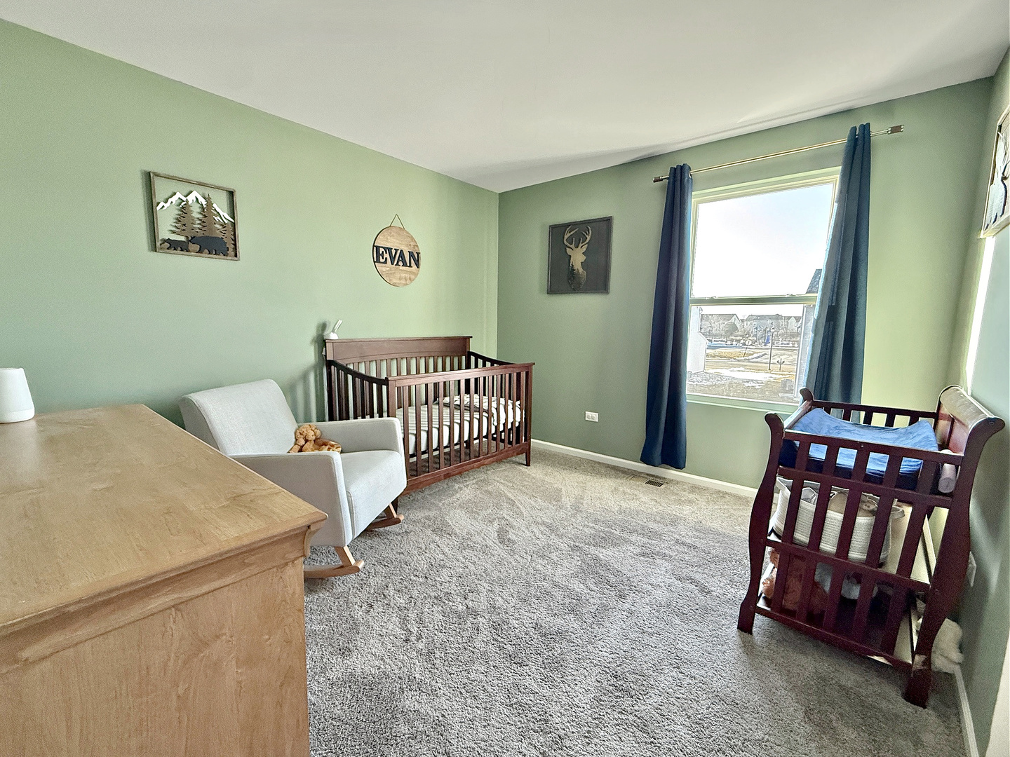 1013 Daniel Street Plano, IL 60545 - Photo 16 of 20