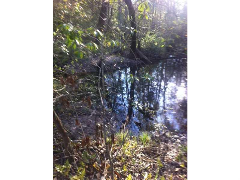 0 West Yates Road Franklinton, LA 70438 - Photo 2 of 4 Gallery Image 2