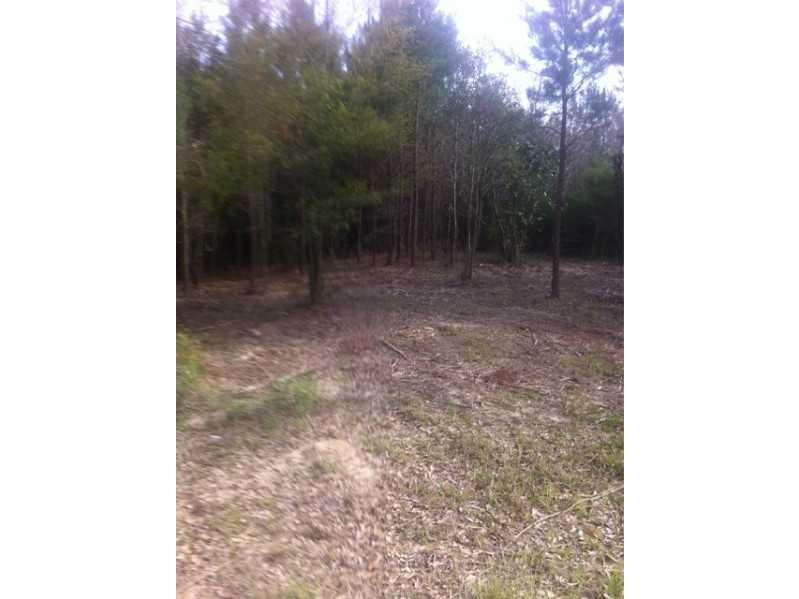 0 West Yates Road Franklinton, LA 70438 - Photo 3 of 4 Gallery Image 3