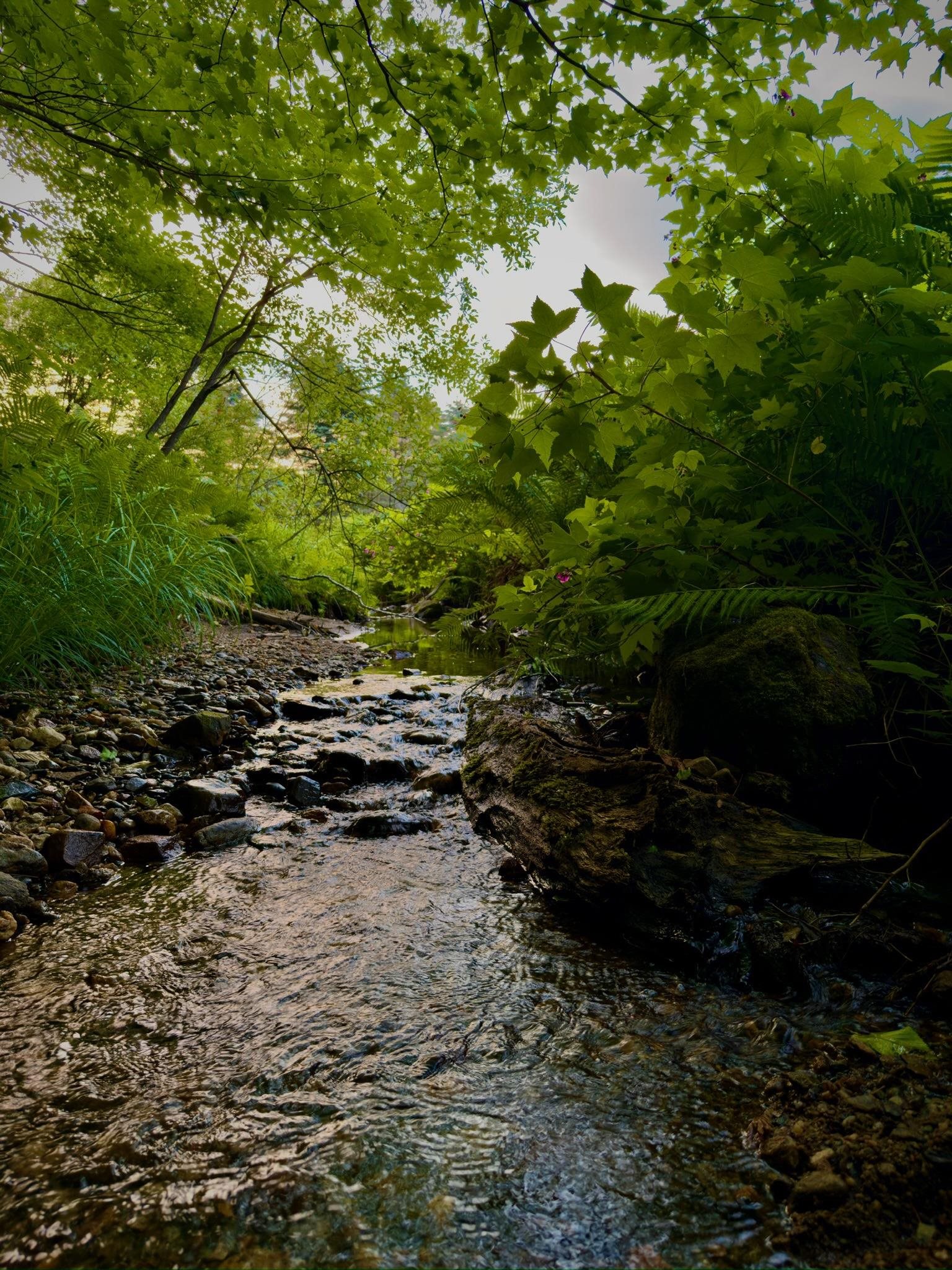 18 New England Power Road Wilmington, VT 05363 - Photo 17 of 60