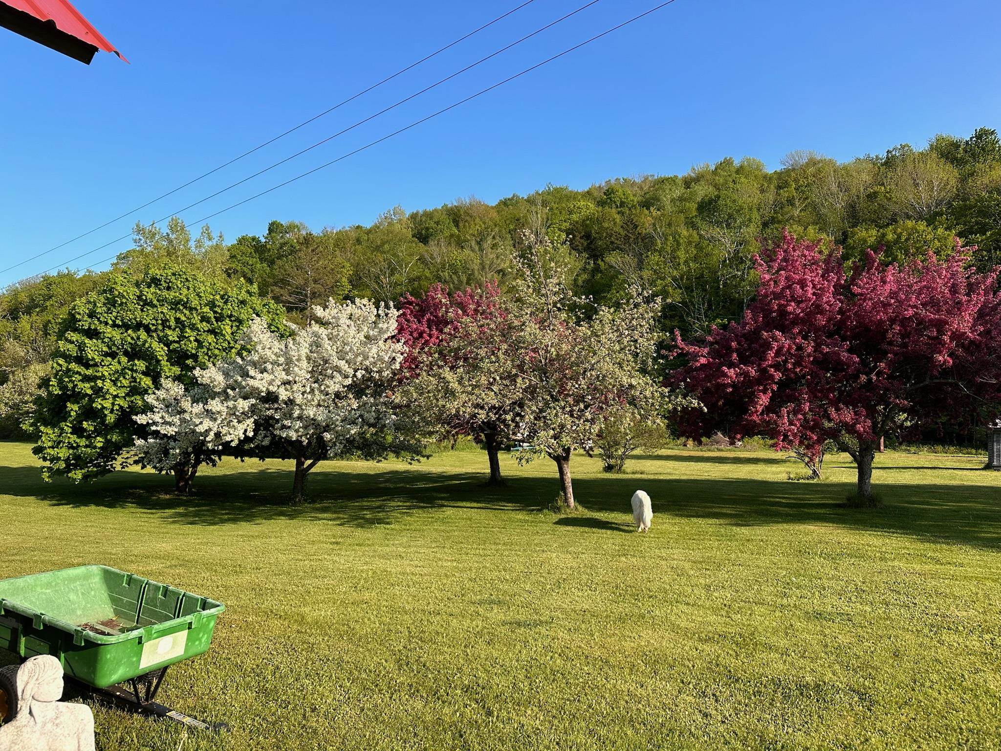 18 New England Power Road Wilmington, VT 05363 - Photo 19 of 60
