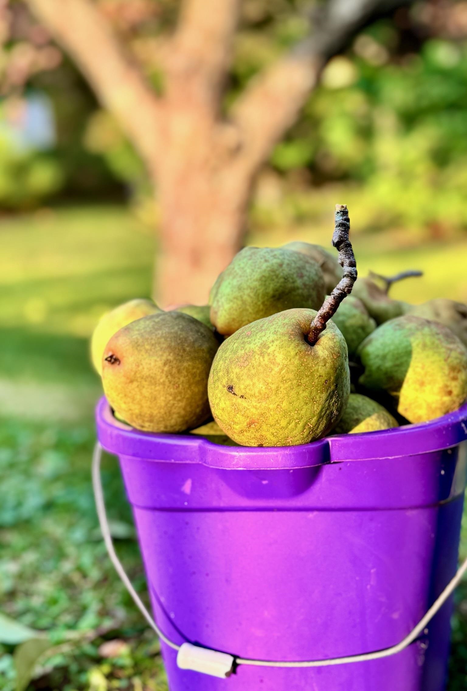 18 New England Power Road Wilmington, VT 05363 - Photo 20 of 60