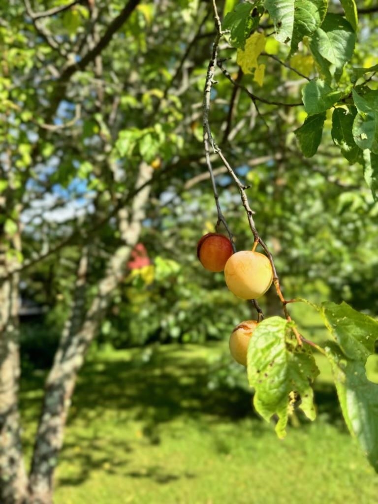 18 New England Power Road Wilmington, VT 05363 - Photo 21 of 60