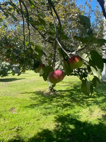 $2,150,000 | 18 New England Power Road, Wilmington, VT 05363