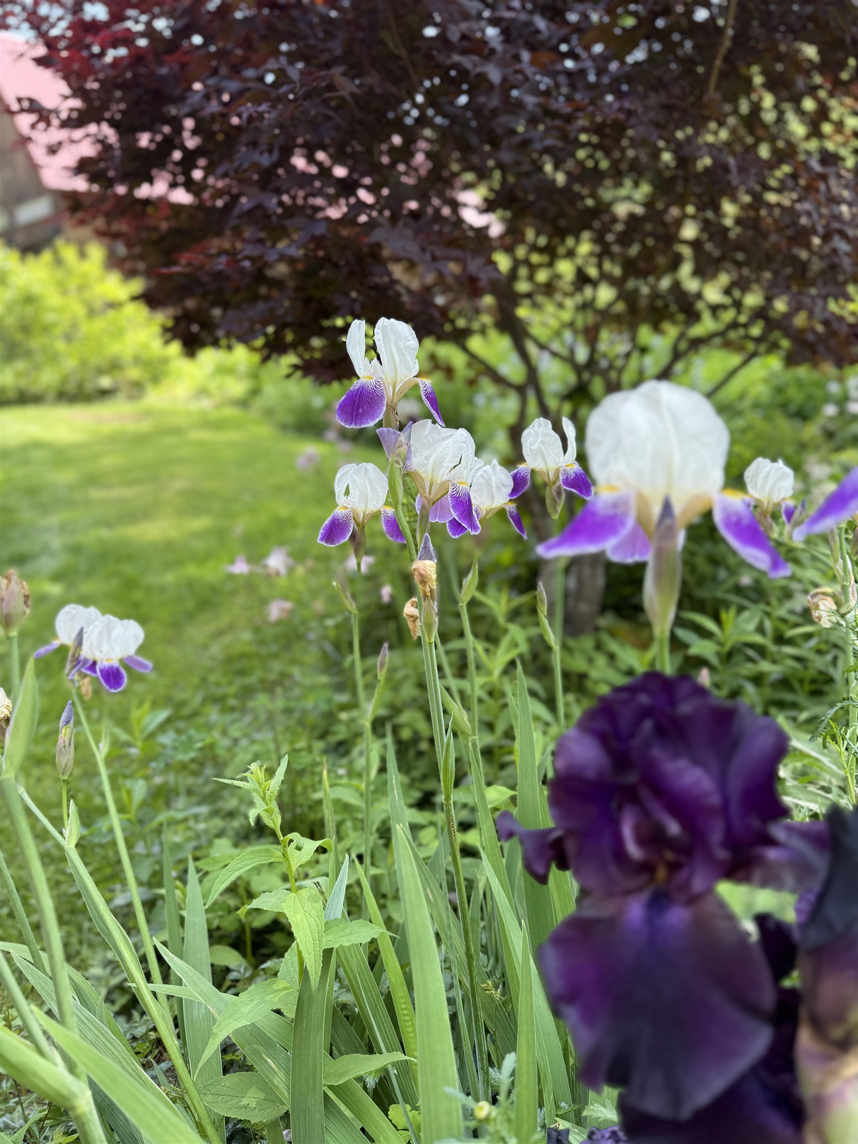 18 New England Power Road Wilmington, VT 05363 - Photo 23 of 60