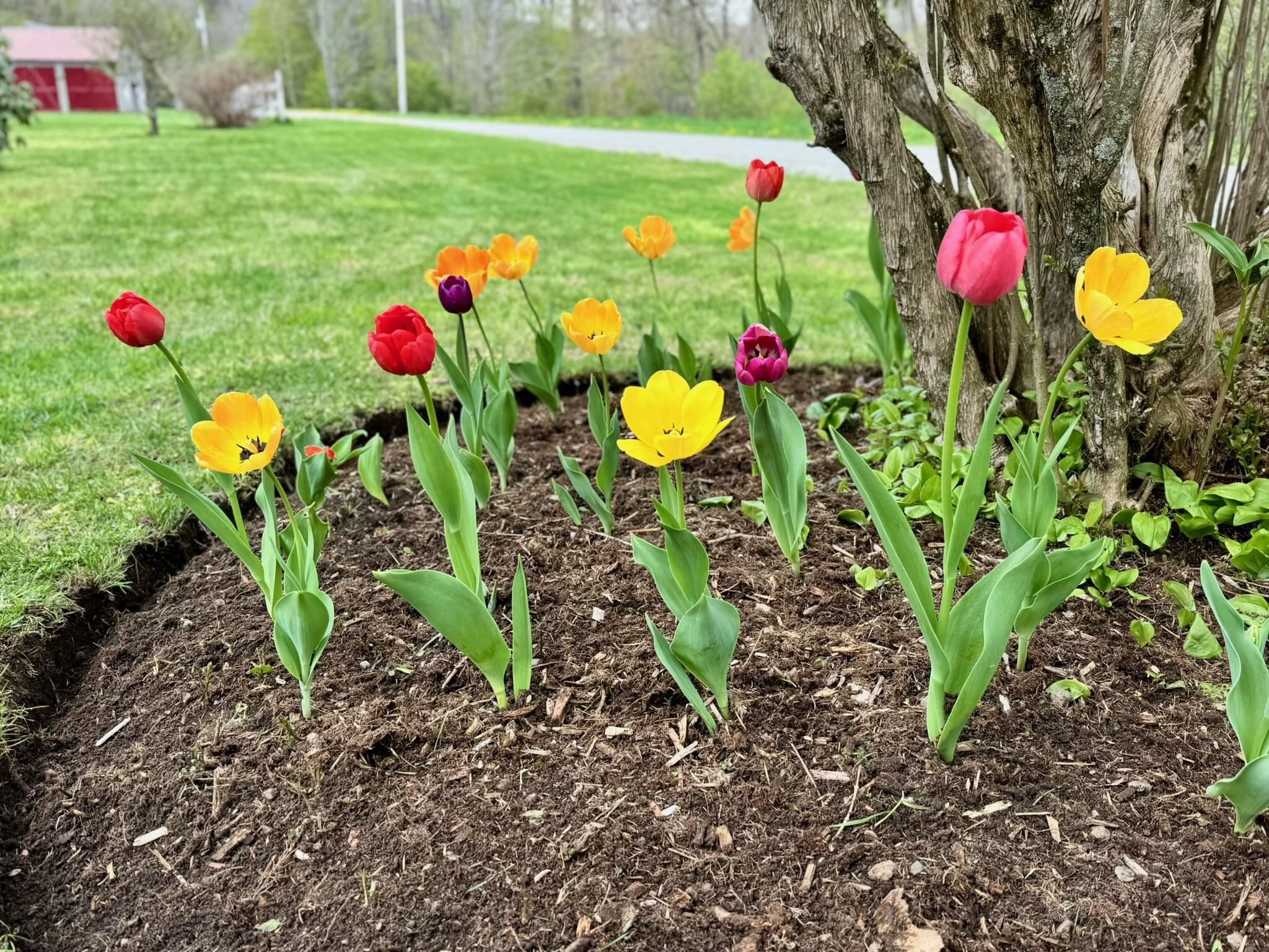 18 New England Power Road Wilmington, VT 05363 - Photo 24 of 60