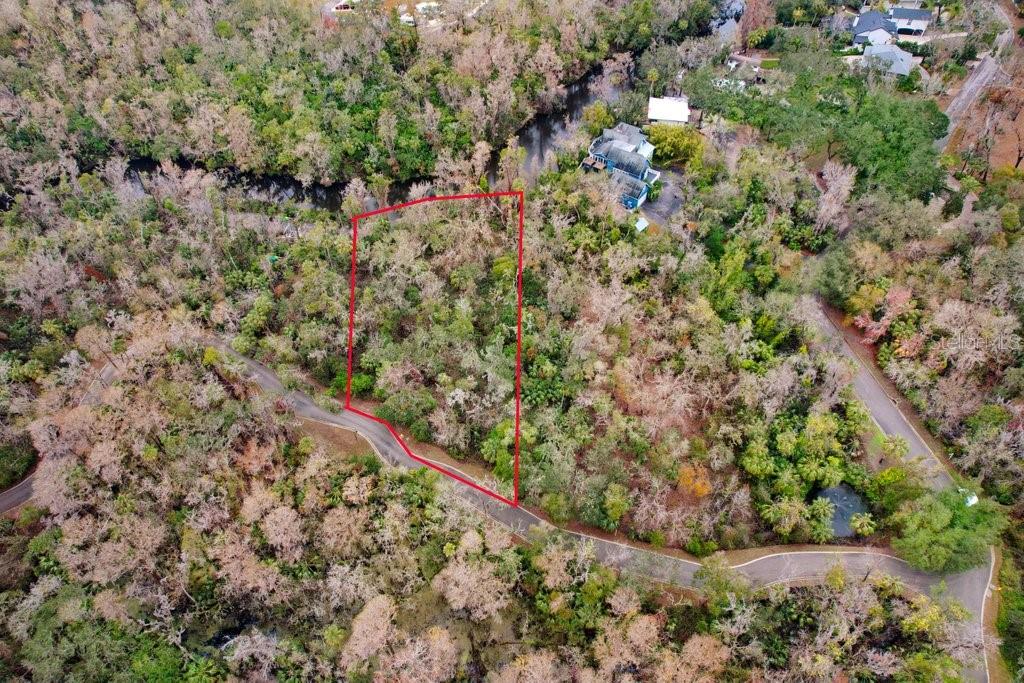 4872 Rambling River Road Brandon, FL 33511 - Photo 18 of 29 a view of a forest with a tree