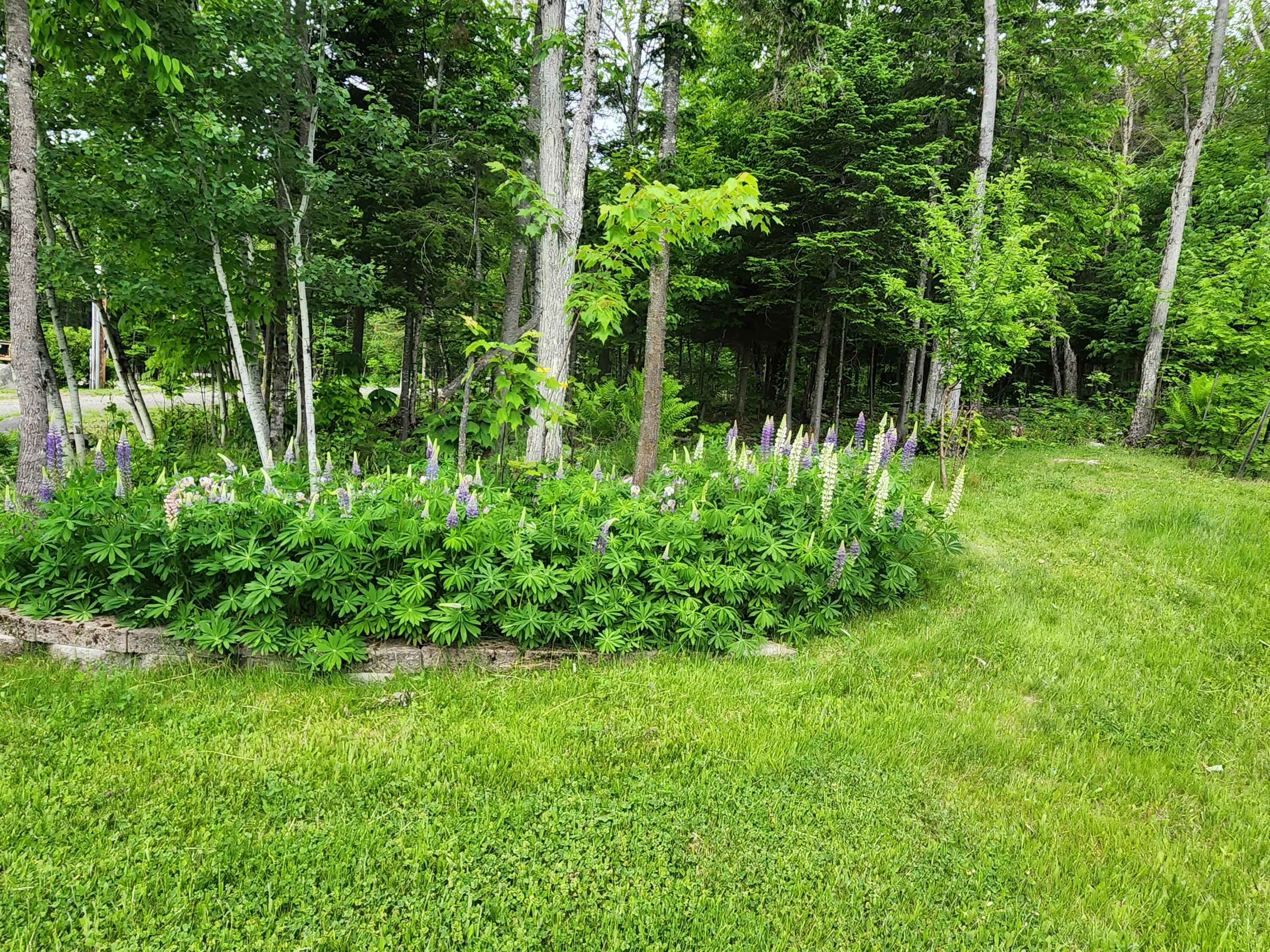 36 Deer Run Drive Jackman, ME 04945 - Photo 9 of 67 1-Sandra