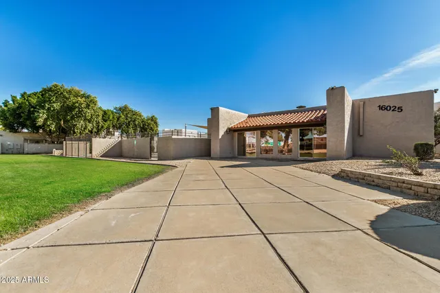 a view of green field with tree in the background