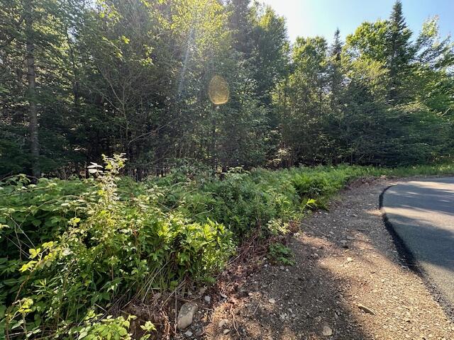 671 Stream Road Winterport, ME 04496 - Photo 26 of 47