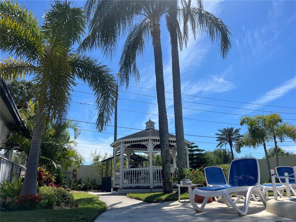 1100 East Bay Drive, Unit 35 Largo, FL 33770 - Photo 18 of 34 a view of a palm tree with a yard