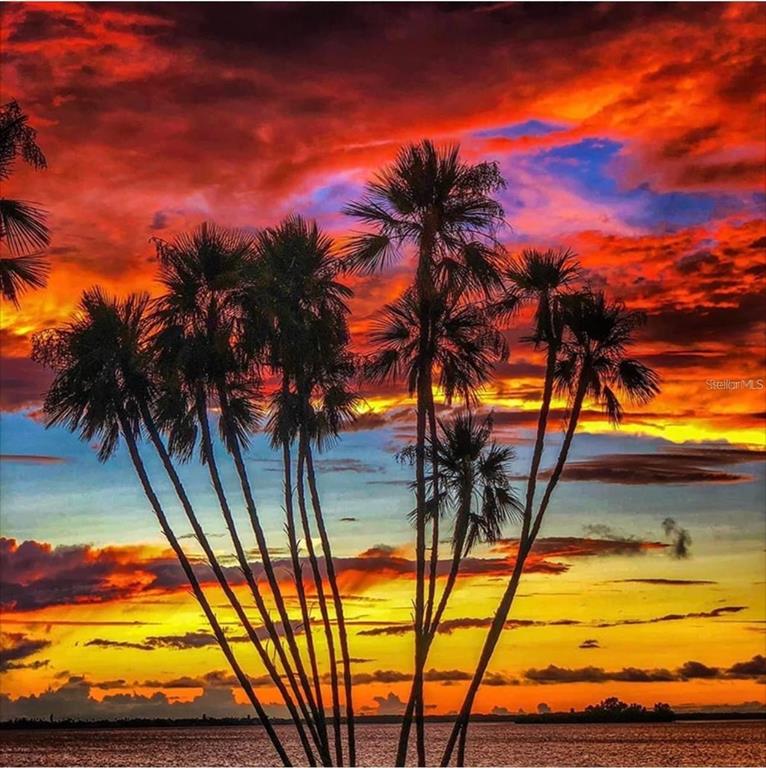 1100 East Bay Drive, Unit 35 Largo, FL 33770 - Photo 34 of 34 a view of swimming pool