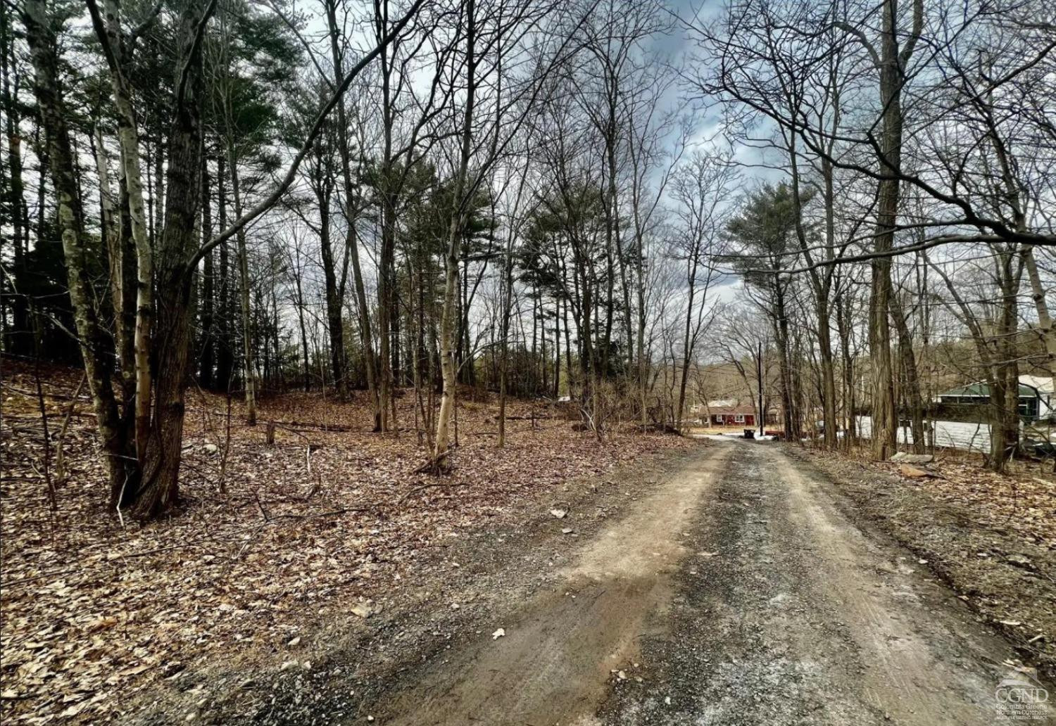 20 Marie Drive Cairo, NY 12413 - Photo 5 of 7 a backyard of a house with lots of green space