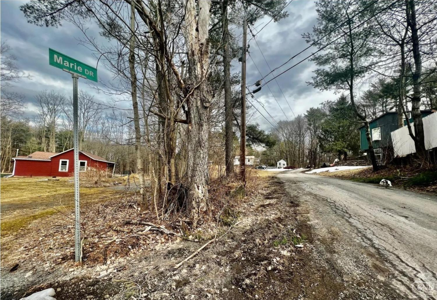 20 Marie Drive Cairo, NY 12413 - Photo 6 of 7 a view of a yard covered in snow