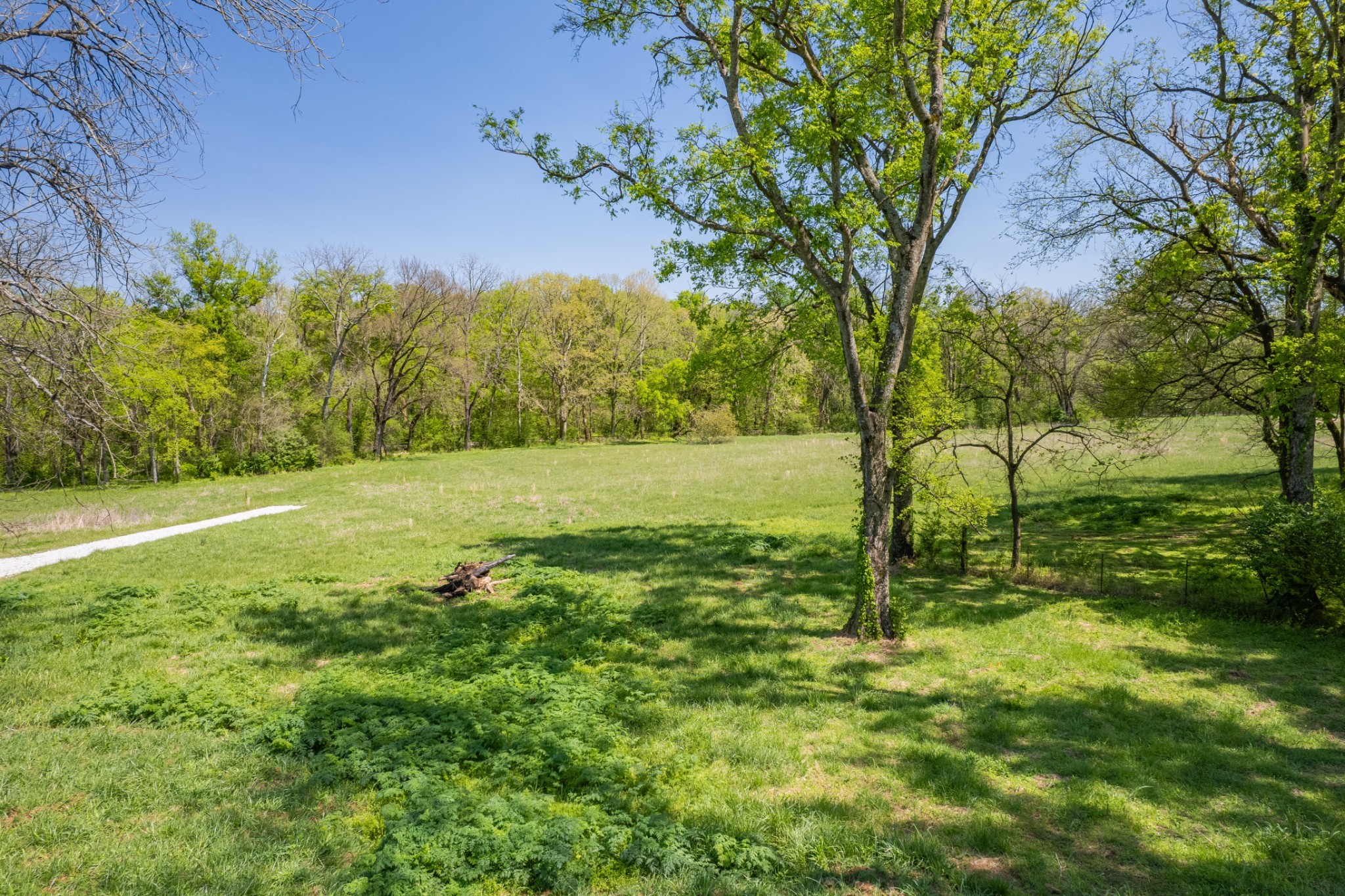 4 Old Zion Road Columbia, TN 38401 - Photo 62 of 67 Gallery Image 62