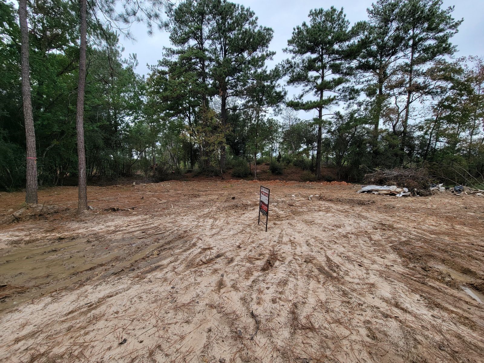 0339 Hardy Street Houston, TX 77073 - Photo 1 of 12 a view of a covered with trees