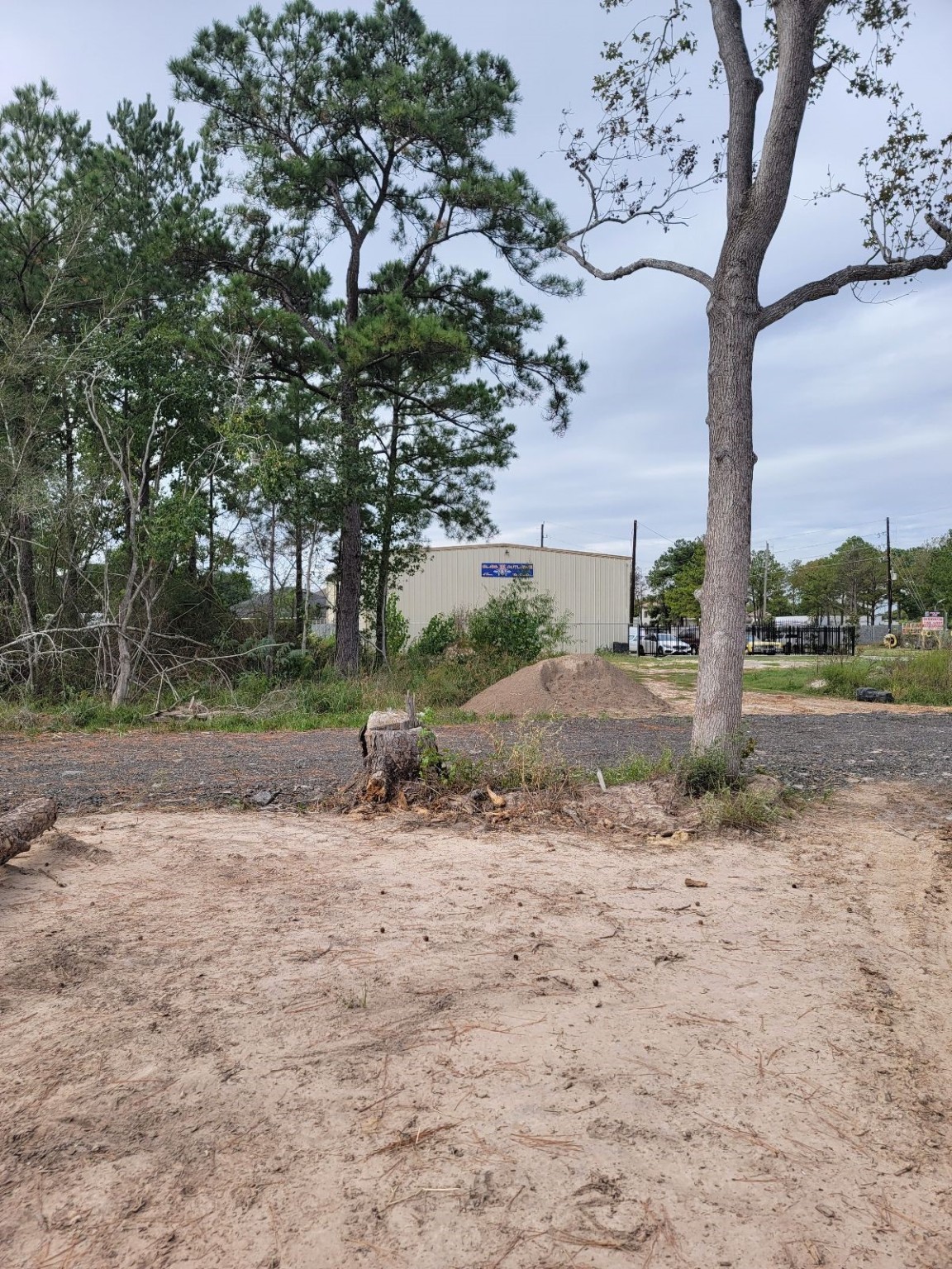 0339 Hardy Street Houston, TX 77073 - Photo 6 of 12 a view of dirt yard with a tree