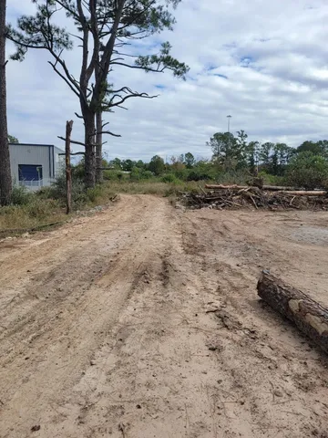 a view of a dry yard with wooden fence