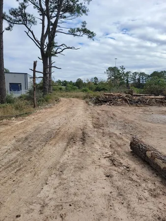a view of a dry yard with wooden fence