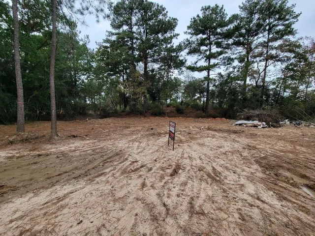 a view of a covered with trees