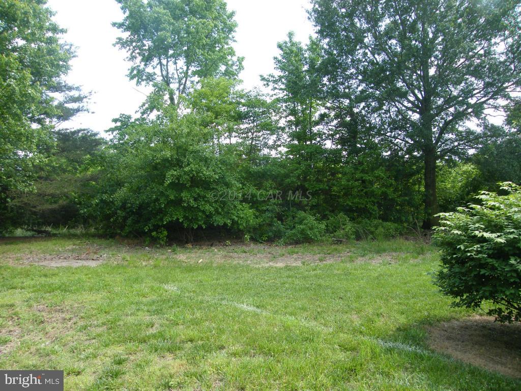 31683 East Line Road Delmar, MD 21875 - Photo 10 of 11