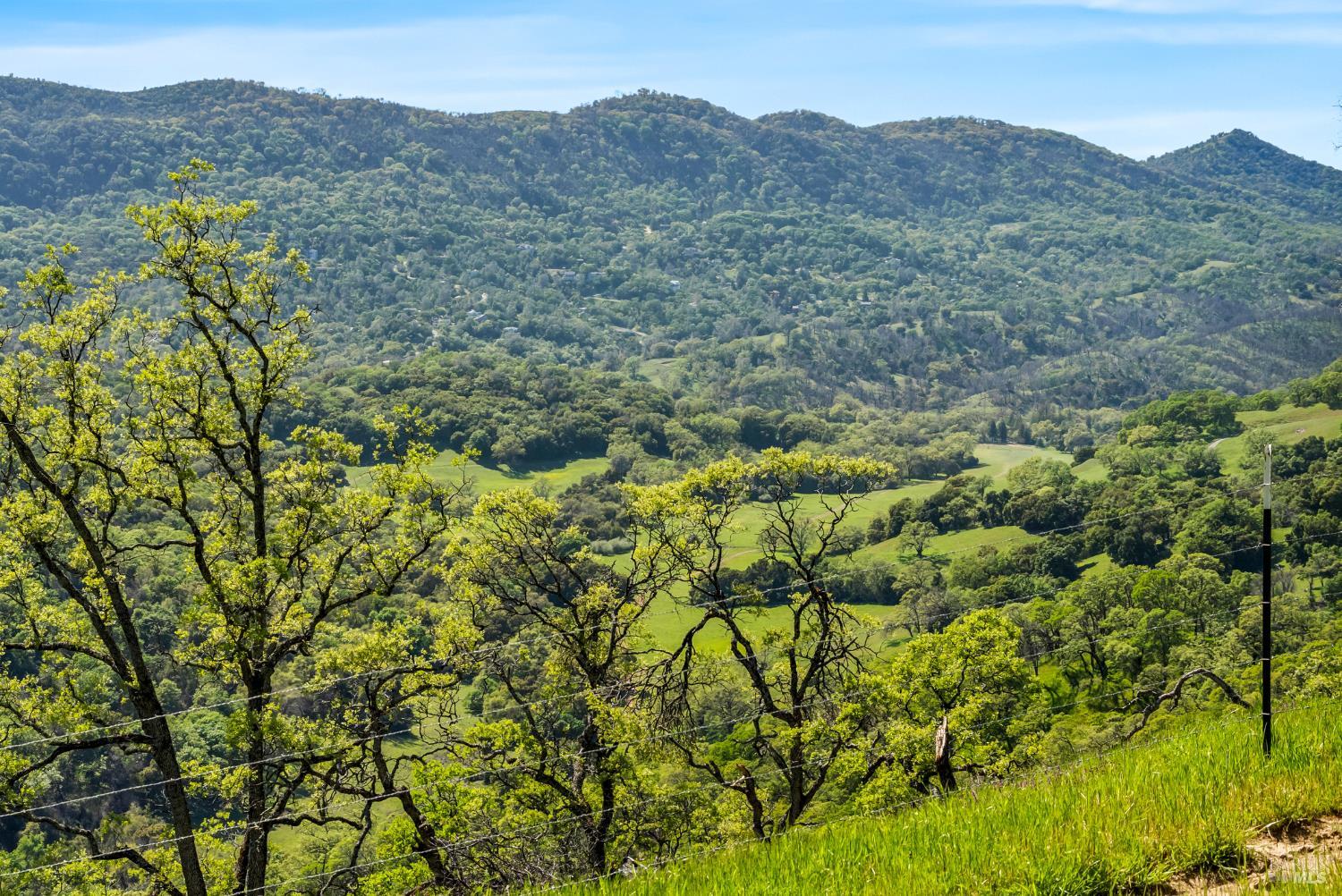 95 Longhorn Ridge Road Napa, CA 94558 - Photo 17 of 58