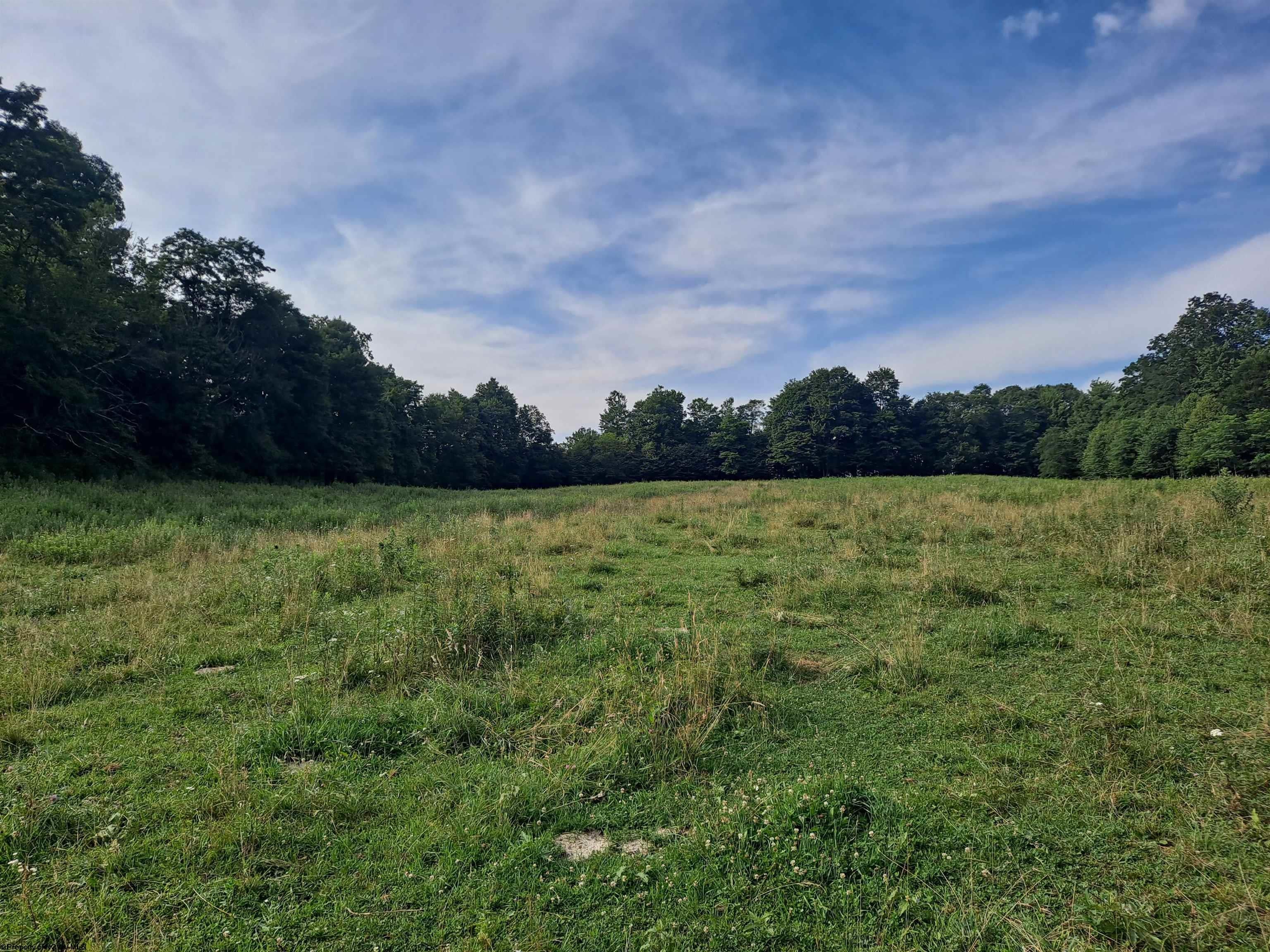 1511 Brady Gate Rd Valley Valley Head, WV 26294 - Photo 13 of 37 Gallery Image 13