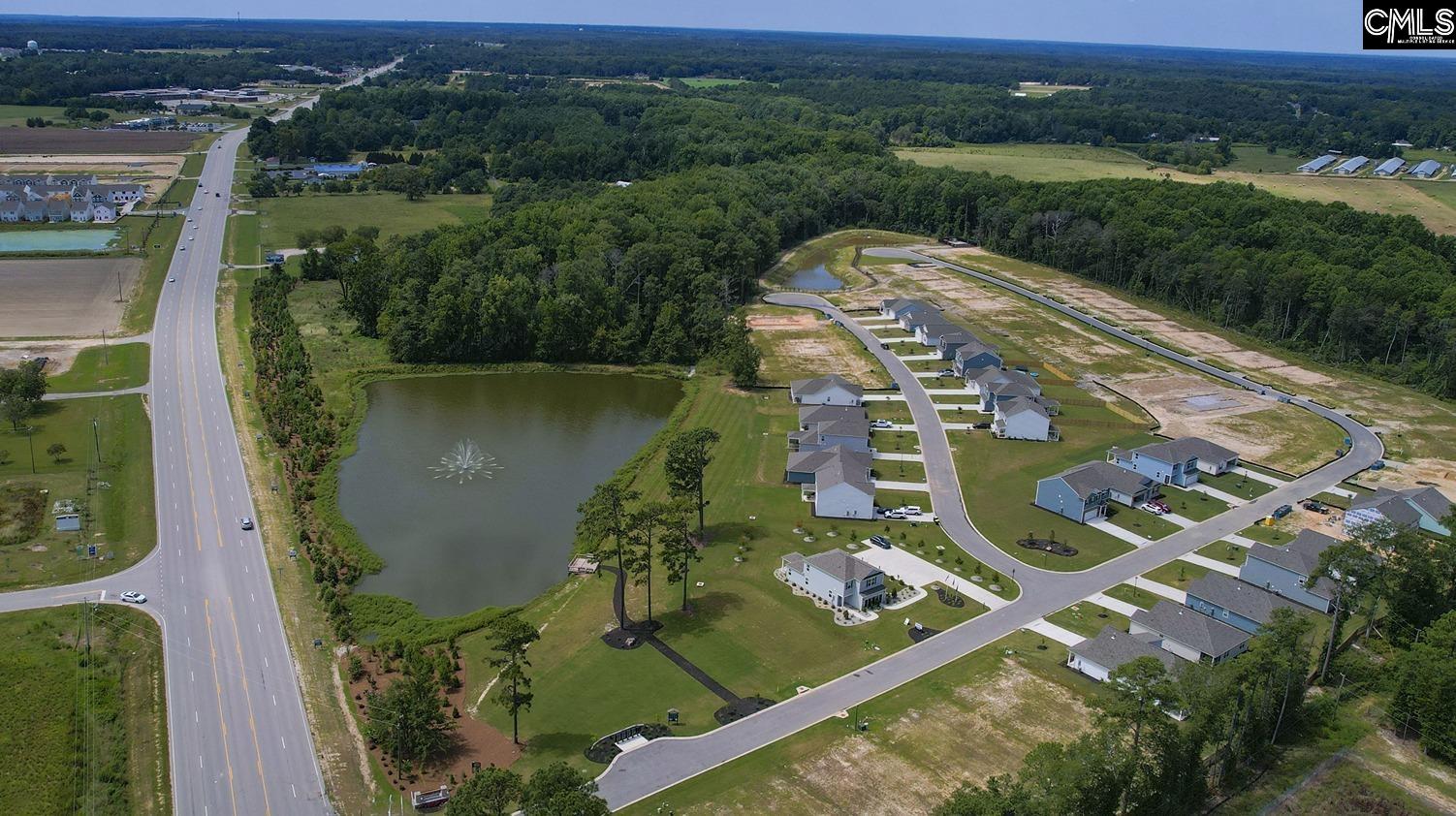 209 Ruby Prince Road Gilbert, SC 29054 - Photo 33 of 38