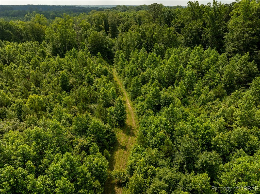 5.7-ac Dutton Road Gloucester, VA 23061 - Photo 13 of 21
