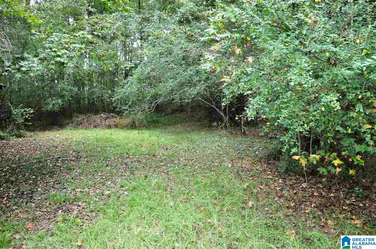 6343 Cahaba Valley Road Birmingham, AL 35242 - Photo 4 of 6